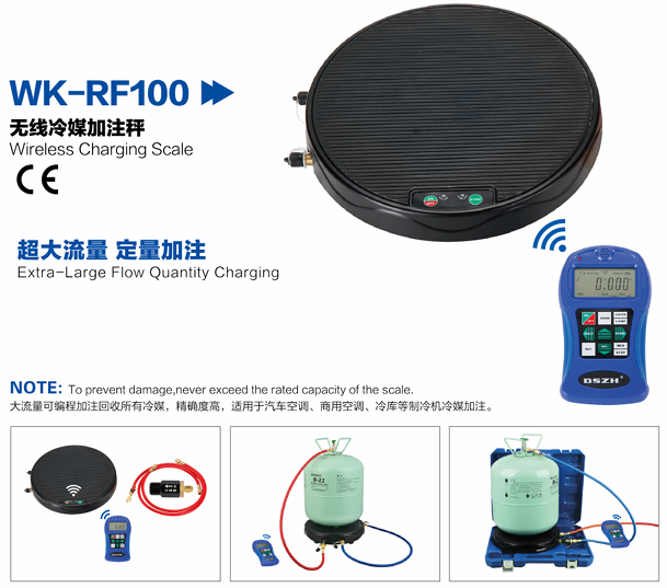 Balanza electrica programable inalambrica 100 KG DSZH