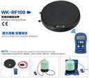 Balanza electrica programable inalambrica 100 KG DSZH